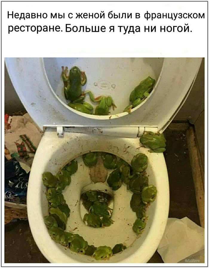 Это мы ещё китайскую кухню не пробовали