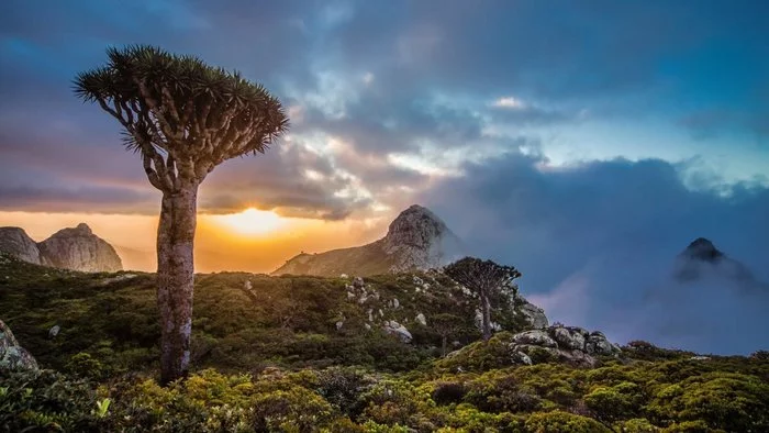 Socotra Island - an isolated island where nature has been preserved in a prehistoric form - My, Island, Nature, beauty, Peace, A life, 2020, Ecology, Clouds, Longpost