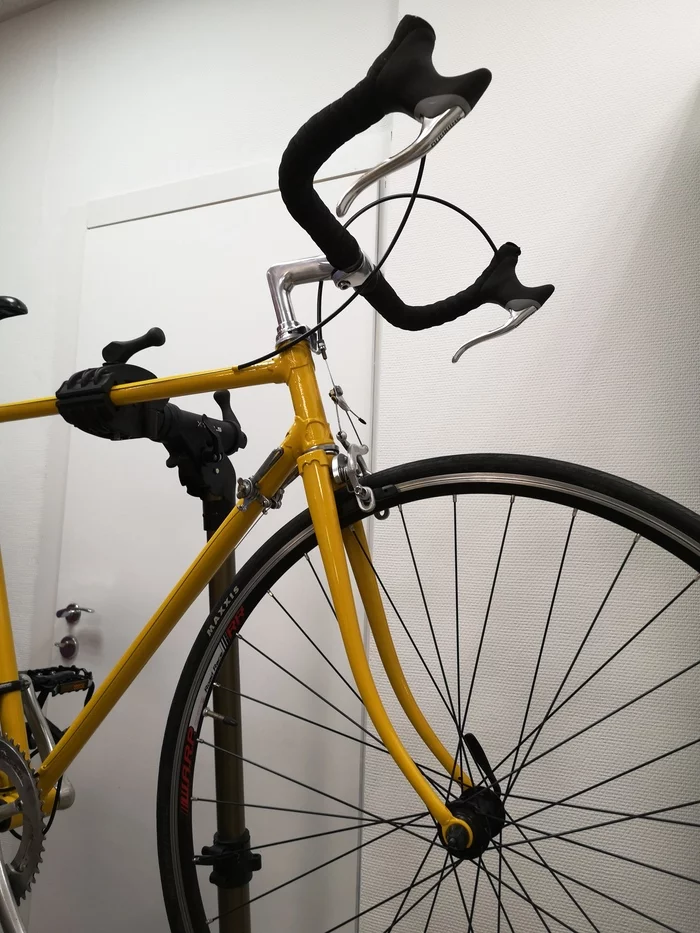 Crocodile farming - My, A bike, KhVZ, Longpost