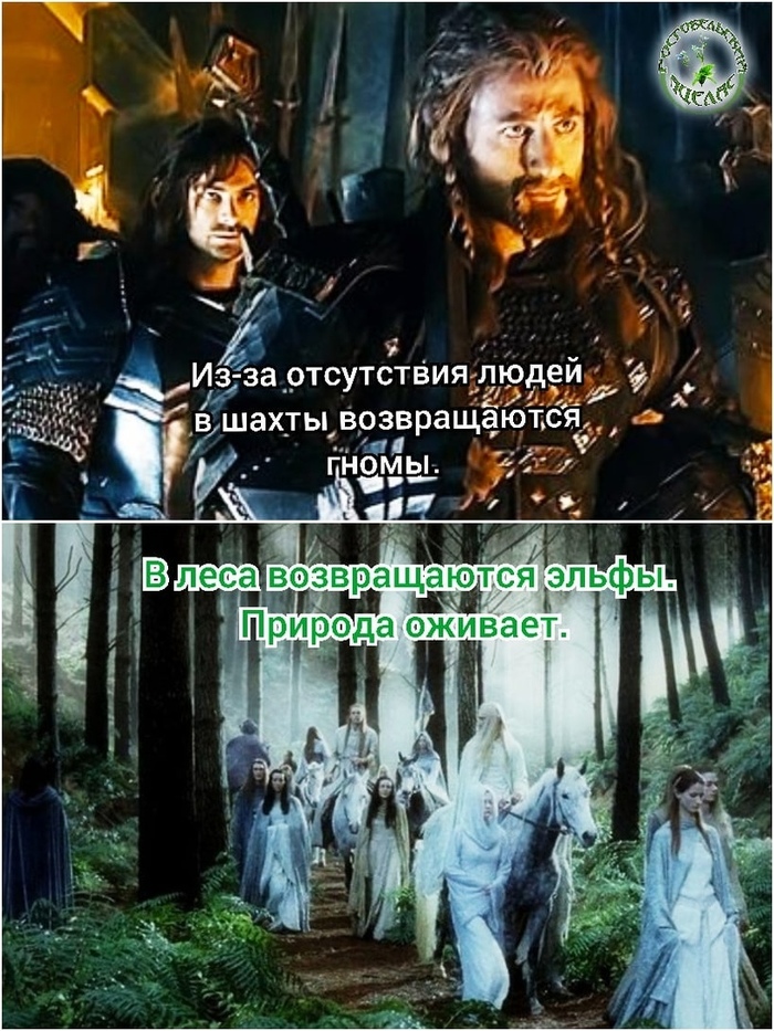 Шёл третий месяц "самоизоляции" ...