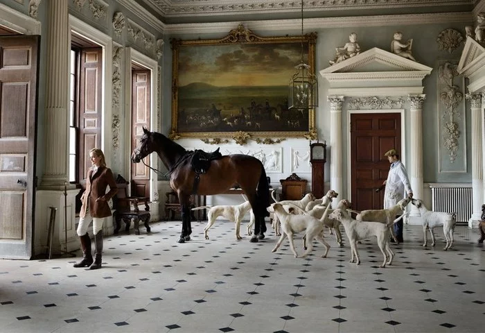 Good old England - England, Traditions, Nobles, Aristocracy, Horses, Dog, Animals