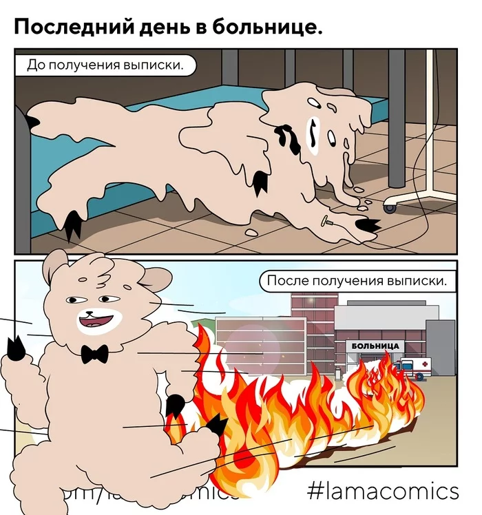 Последний день в больнице - Моё, Lamacomics, Комиксы, Веб-комикс, Юмор