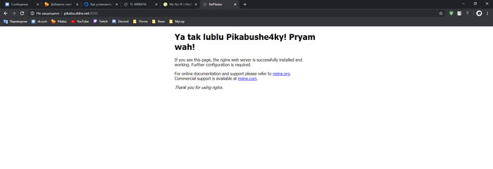 Создаем свой собственный хостинг не потратив и копейки Хостинг, Гайд, Nginx, Ubuntu, Длиннопост