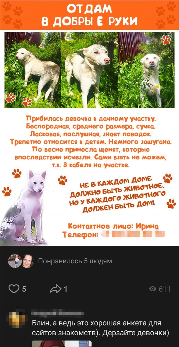 Ох уж эти объявления... Юмор, ВКонтакте, Дискриминация, Скриншот