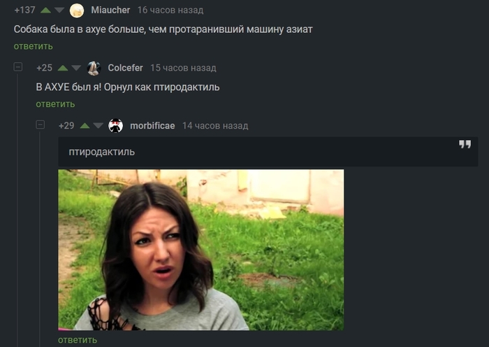    ,  (),   