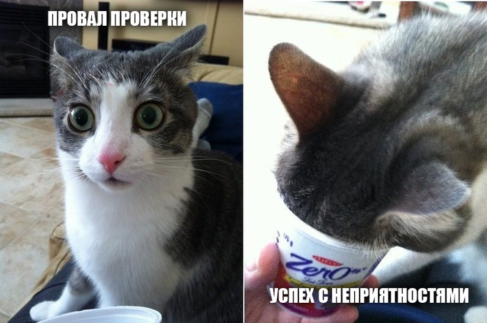 ����� � ��������������: ������ ��������