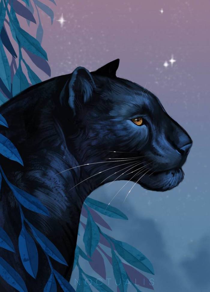 Bagheera - Drawing, Mowgli, Rudyard Kipling, Bagheera, Panther, Art