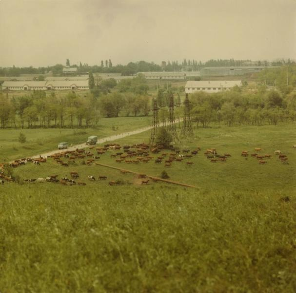 История СССР в фотографиях № 96 - СССР, История, Фотография, Подборка, Длиннопост, Ретро