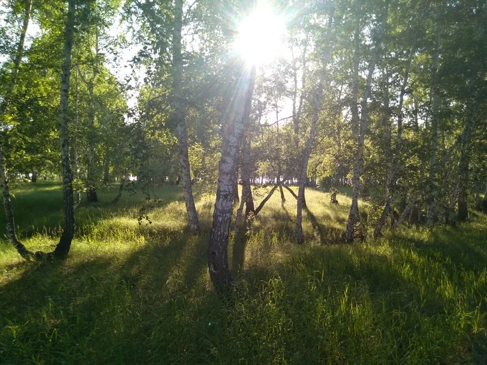 A walk on the bike - My, Longpost, A bike, Mobile photography, Omsk region