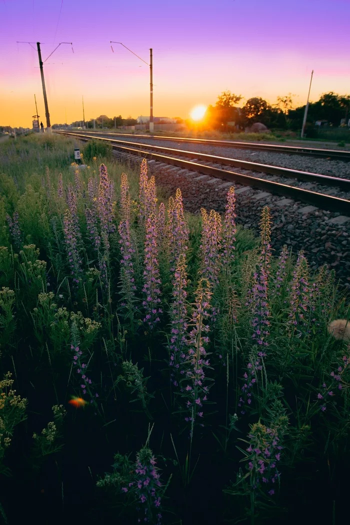 Sunset - My, Sunset, Summer, The photo