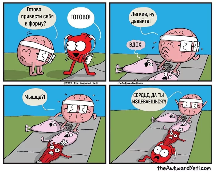 Training - Awkward yeti, Comics, Humor, Workout, Heart, Brain