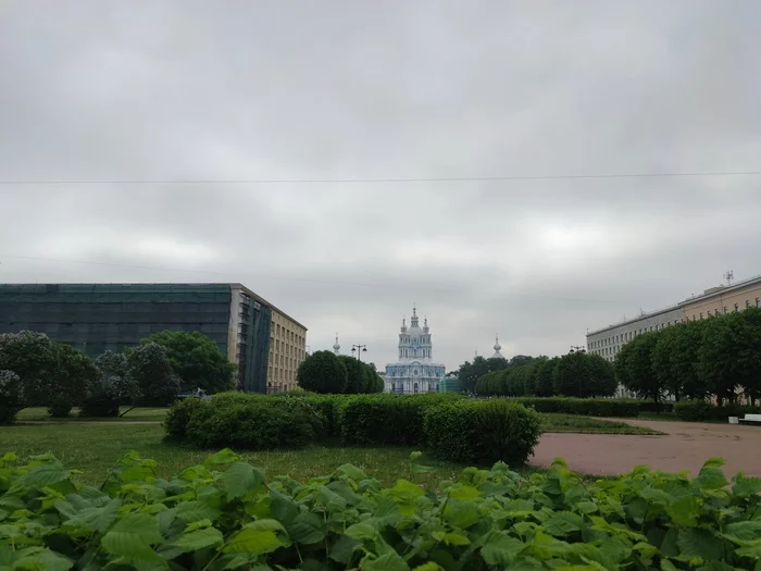 Fog, fog, gray veil - My, Saint Petersburg, Fog