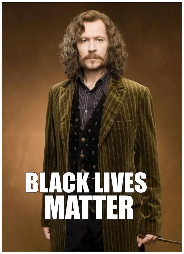 Sirius was also killed - Death of George Floyd, Harry Potter, Sirius Black, Humor