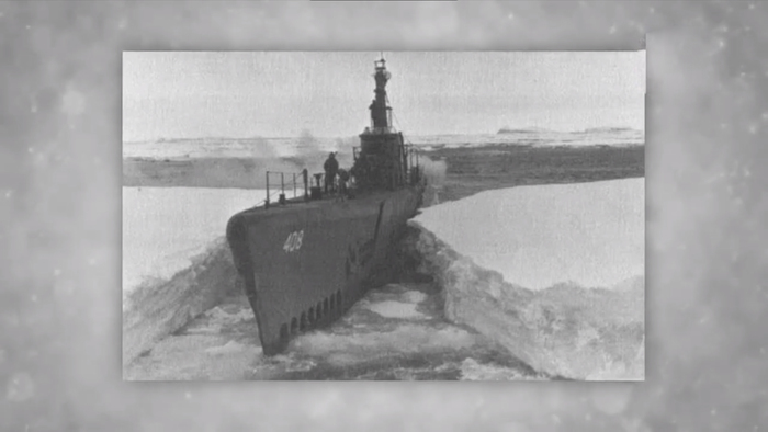 Как белый медведь Уничтожил Секретную нацистскую базу в Арктике