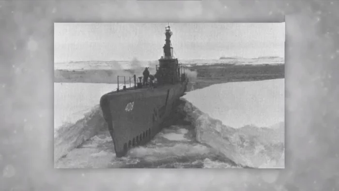 How a Polar Bear Destroyed a Secret Nazi Base in the Arctic - Arctic, The Second World War, Germans, Polar bear, Video