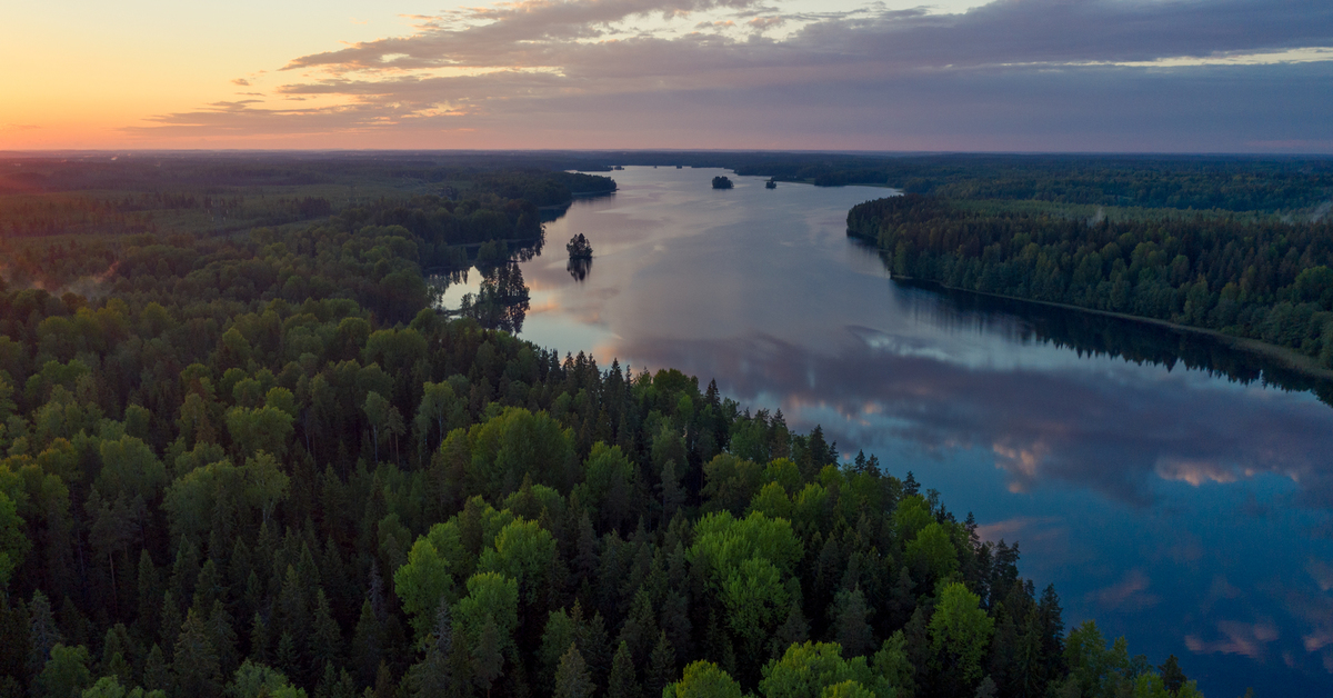 Макаровское водохранилище. Озеро Макаровское. Макарское озеро Ленинградская область. Макаровские озера Выборгский район. Озеро Макаровское Вещево.