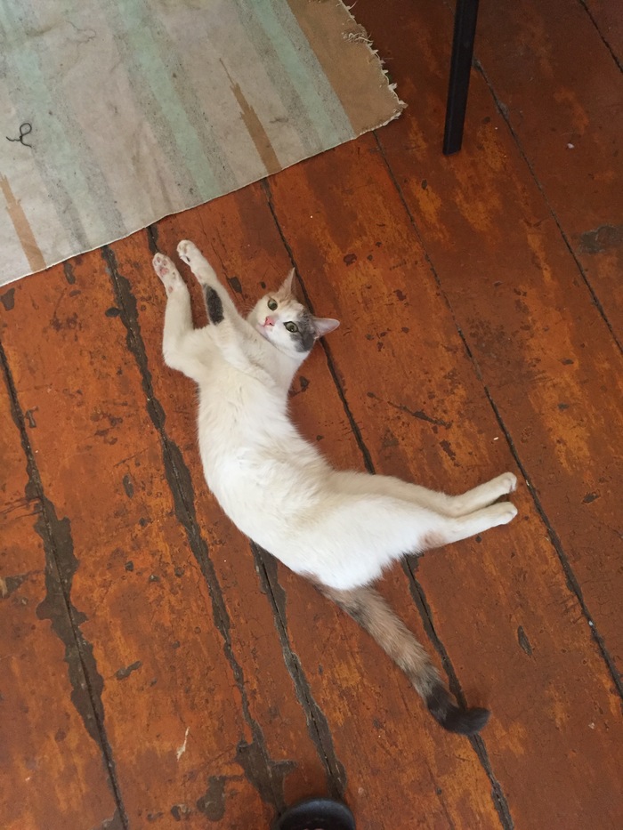 ��������� ��� �������������