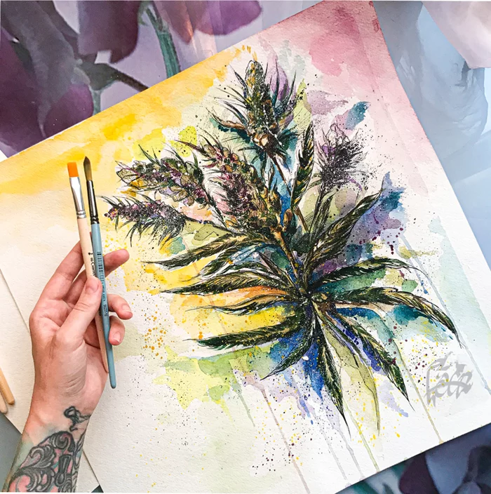 After a long break - My, Marijuana, Hemp, Illustrations, Botanical illustration, Painting, Illustrator, Watercolor, Longpost