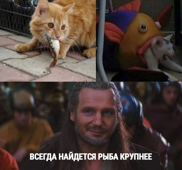 Всегда найдется рыба крупнее