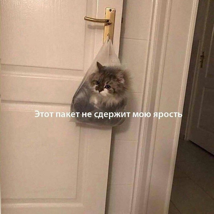  ,   , , , 