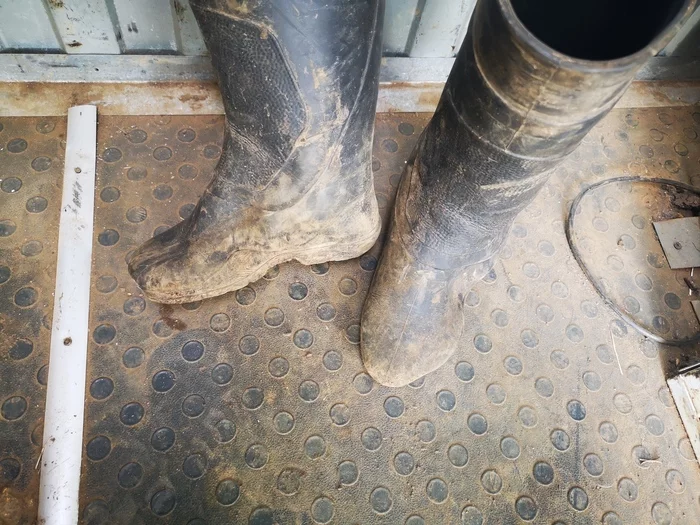 Don't forget your shoes on the dryer - My, Boots, Shoe dryer