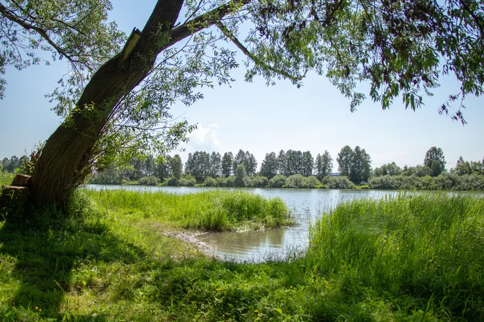 Walk around the town - My, Osinniki, Walk, The photo, Nature, Longpost