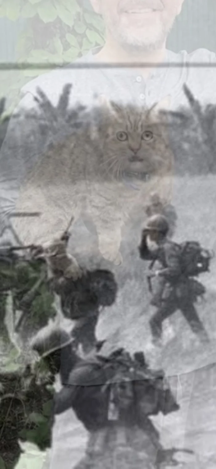 Кот, Шнуров и флешбэки - Сергей Шнуров, Кот, Мемы, Флешбек, Длиннопост