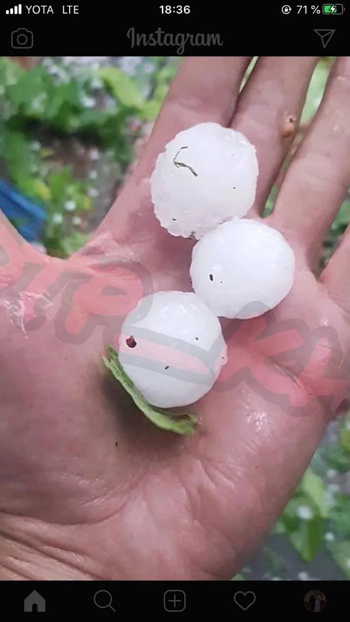 Reply to the post “Aftermath of today's small 10-minute hurricane in Calgary, Canada” - Hurricane, Hail, Weather, Consequences, Destruction, Reply to post, Longpost