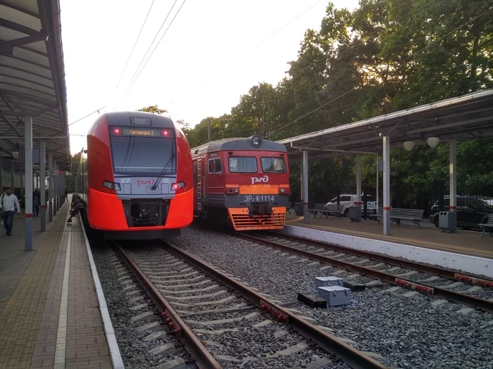 Post #7519430 - My, Railway, Martin, Train, Svetlogorsk, Kaliningrad region, Er2