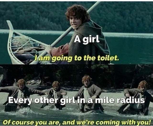 Girl: I'm going to the toilet - Lord of the Rings, Frodo Baggins, Sam Gamgee, Picture with text