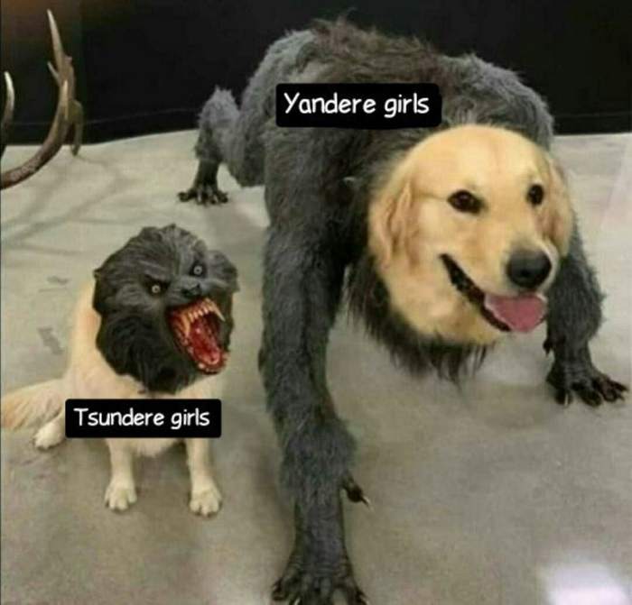 Briefly about tsunder and yander - Yandere, Zundere, Anime, Memes