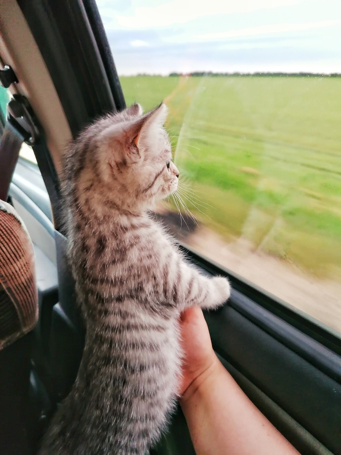 �� ����, ����, ���� � ������ ����...