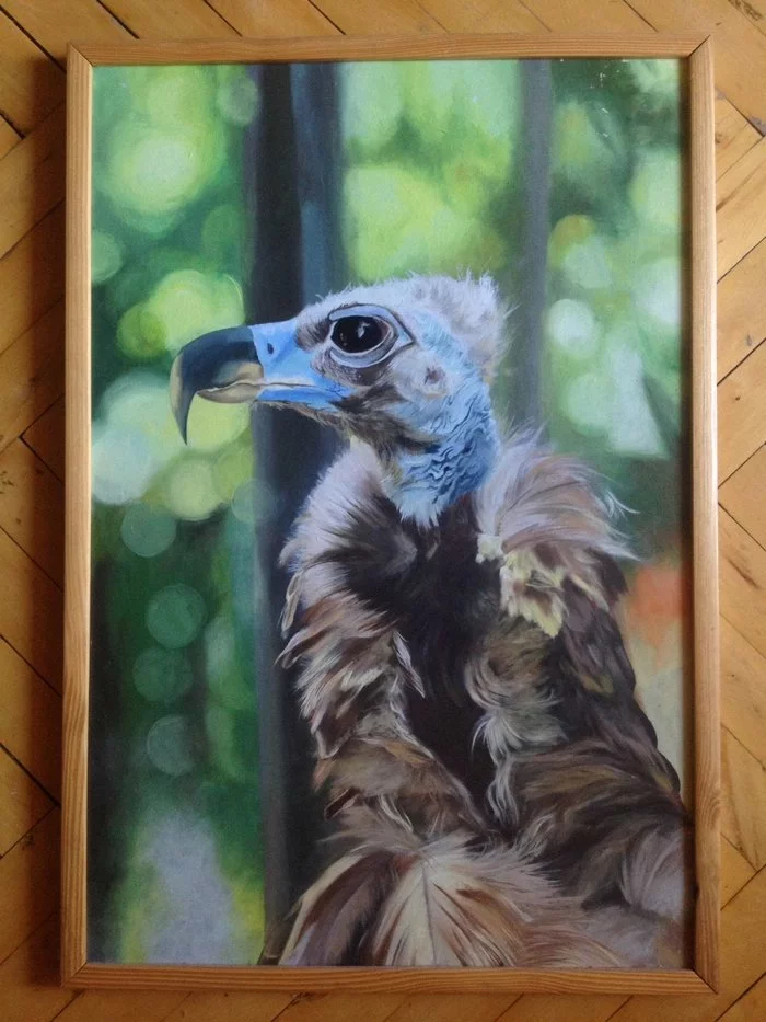 Black vulture - My, Painting, Oil paints, Birds, Vulture, Animalistics