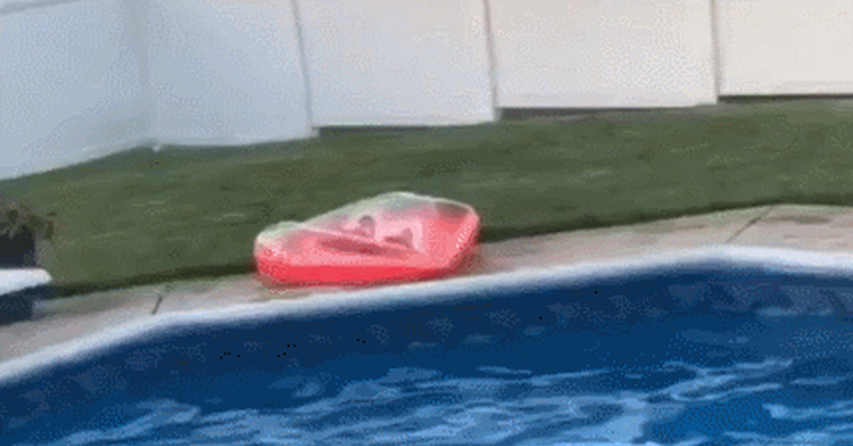 All because someone eats too much! - Swimming pool, Bounce, Trick, Fullness, Diving, GIF, Inflatable circle