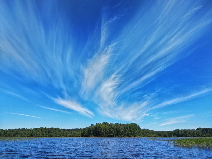 Где-то в Ленинградской области
