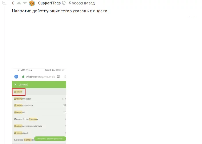 Немного о профессионализме саппорта местного - Моё, Скриншот, Пикабу