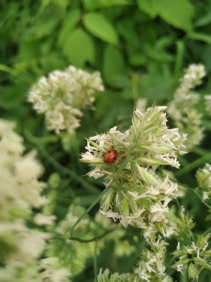 ���������� � �����