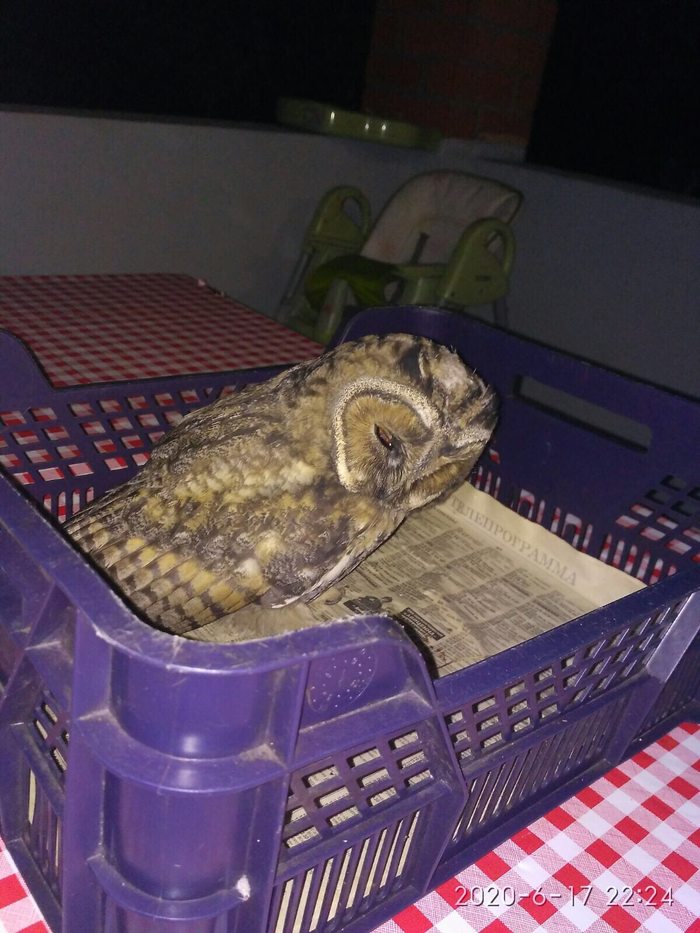 ����� ����� ����������