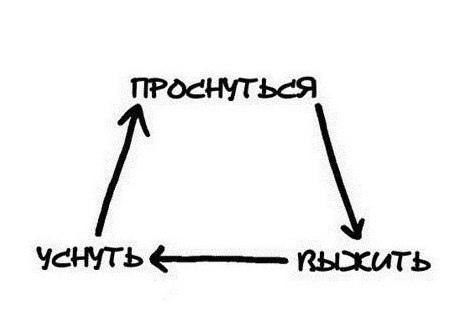 � ������ �����