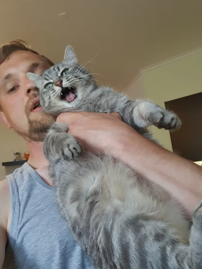 There will be no hugs, there will be no hugs (there are) - My, Hugs, cat, Longpost