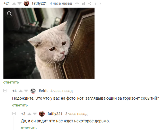 Comments on Pikabu - Comments on Peekaboo, Humor, cat