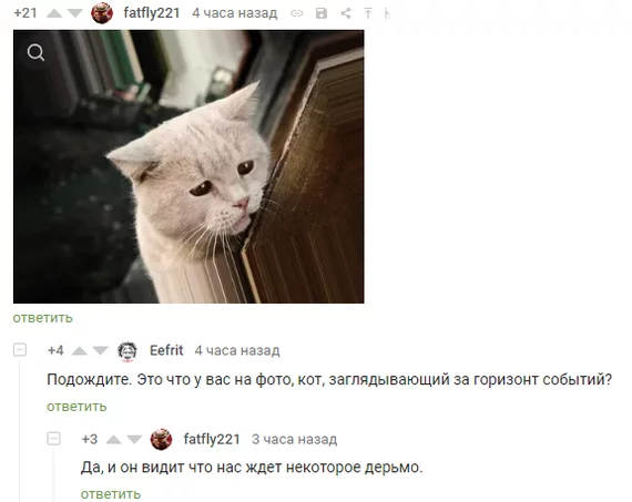 Post #7527927 - Comments on Peekaboo, Humor, cat