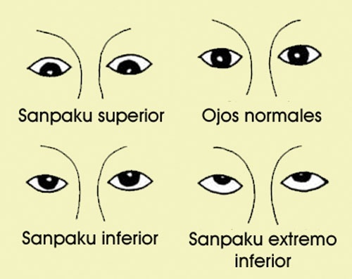 Sanpaku - Eyes, Stress, Longpost