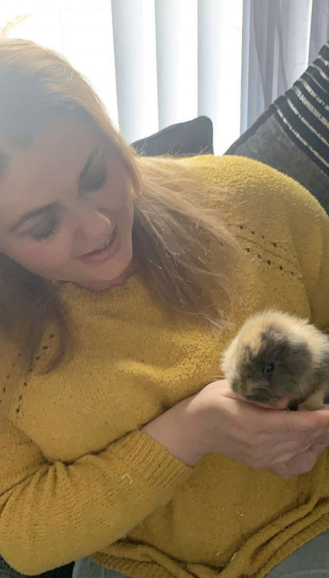 Leo the earless rabbit, who looks like a small lion - Rabbit, Mutant, Ireland, Interesting, Longpost, Milota, Earless