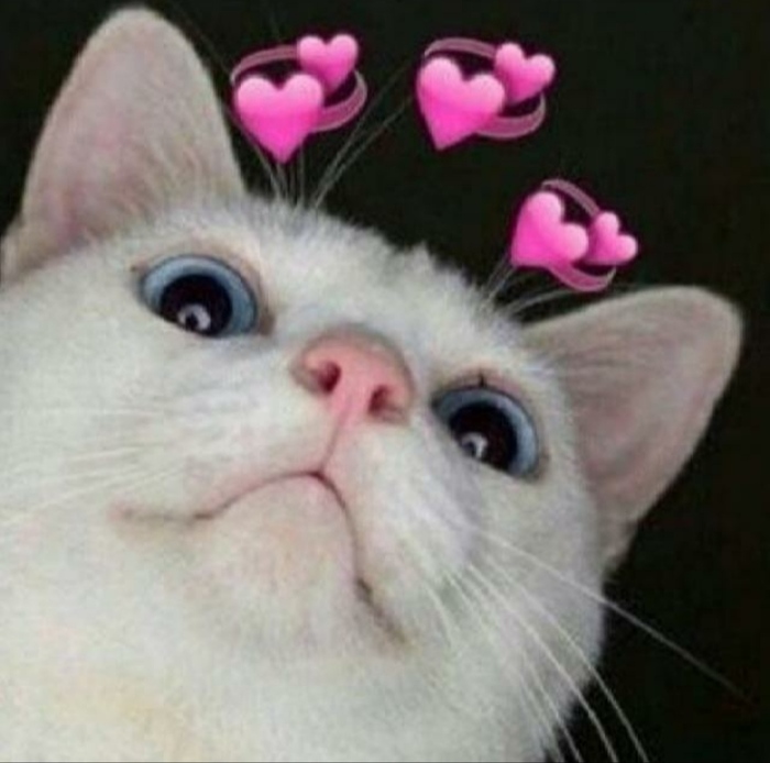 Несколько фактов обо мне