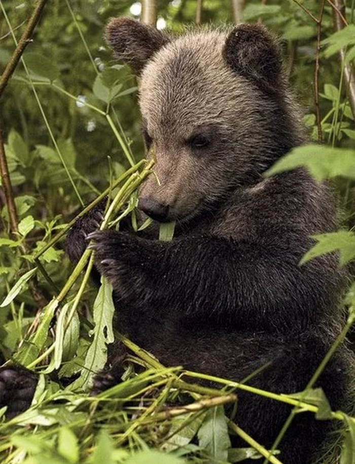 И кто это такой маленький?