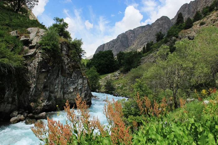 On the Siyome River - My, The mountains, River, Snezhnik, Nature, Tajikistan, Longpost