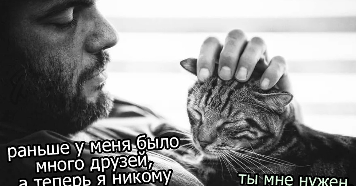 Два человека и коты. Мужчина с котом. Мужчина гладит кота. Грустный парень с котом.