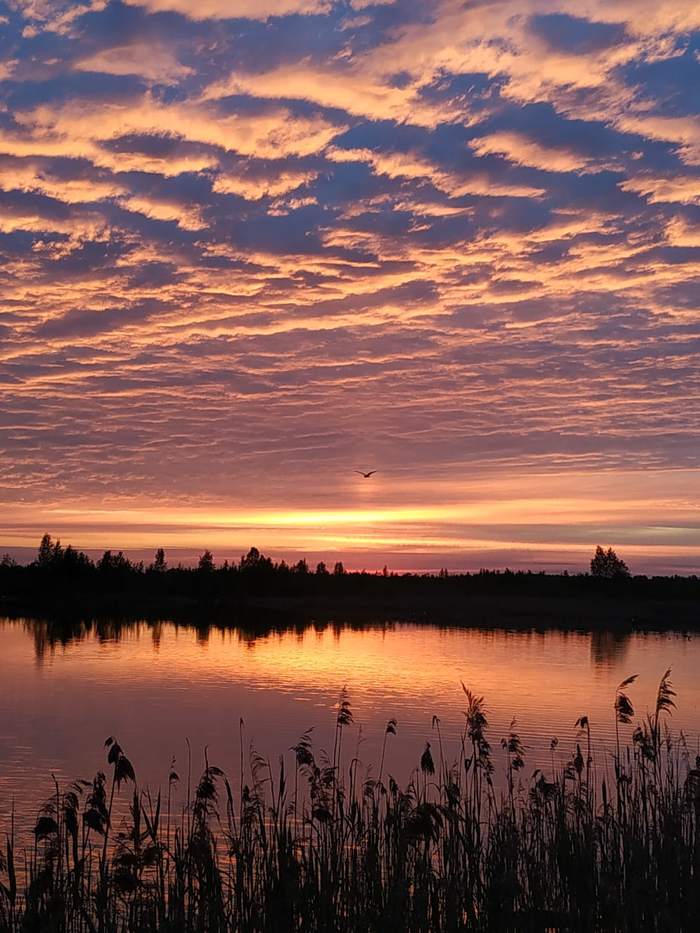 Beautiful photo: water, sky, evening - Water, Evening, Nature, beauty