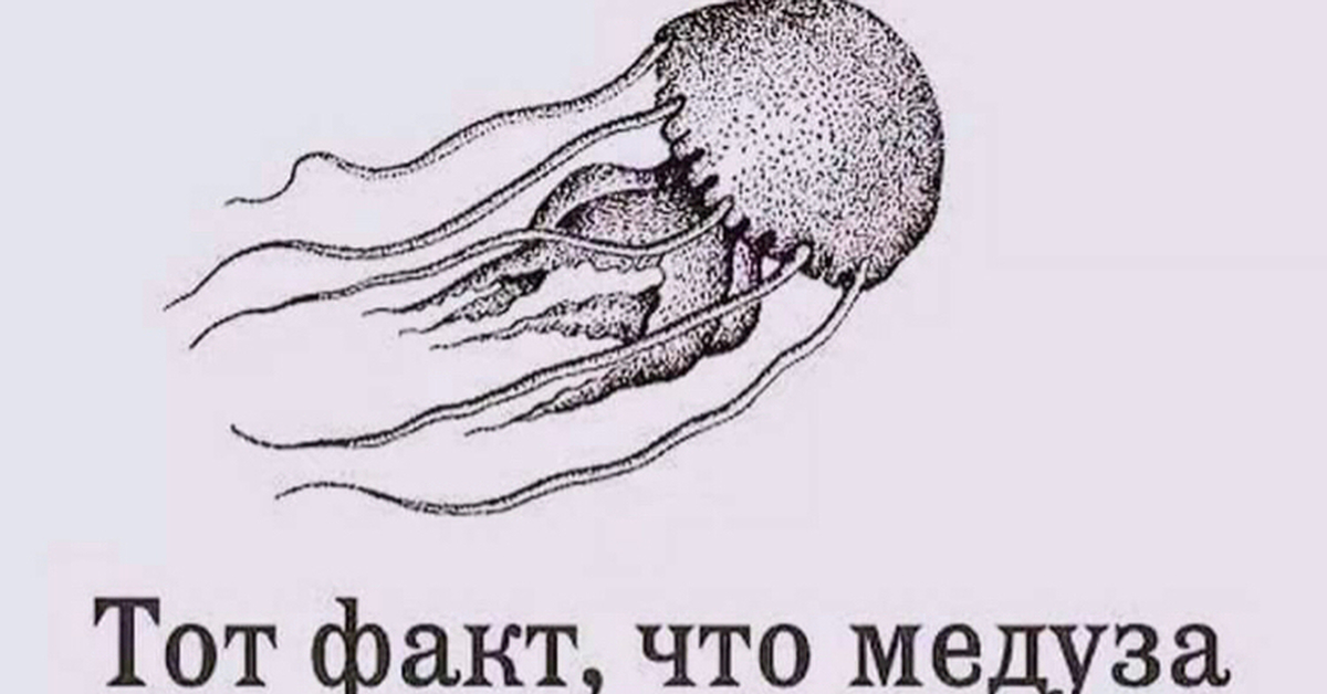 У медузы есть мозги. Медуза без мозгов. Тот факт что медуза. Медузы живут без мозгов. Медуза живет без мозга.